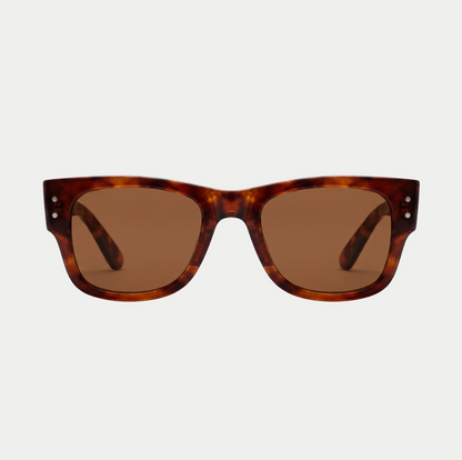 COCO | Bruin
